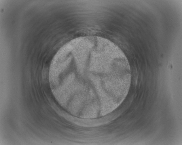 X0000082740034200702240024