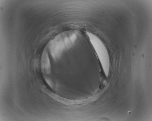 X0000082740035200702240024