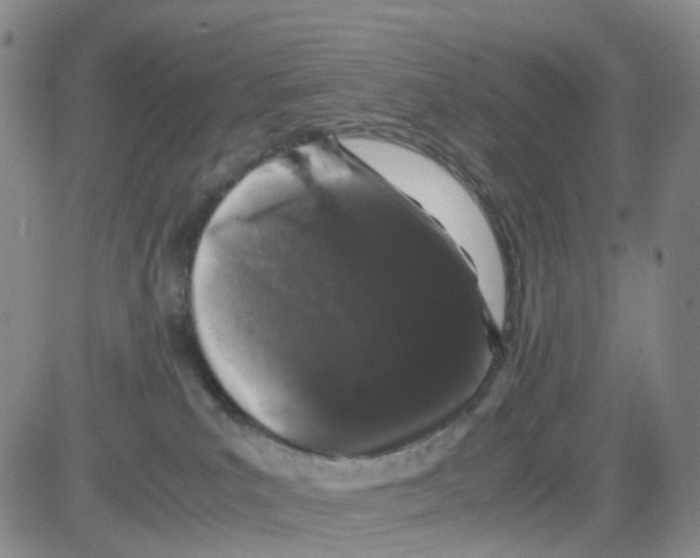 X0000082740039200702240024