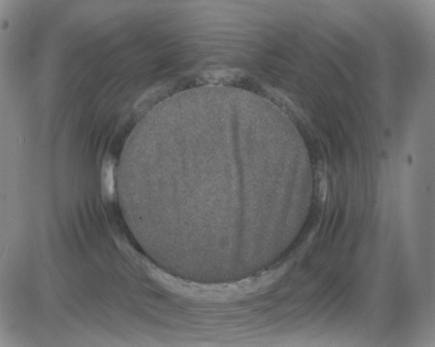 X0000082740042200702240024