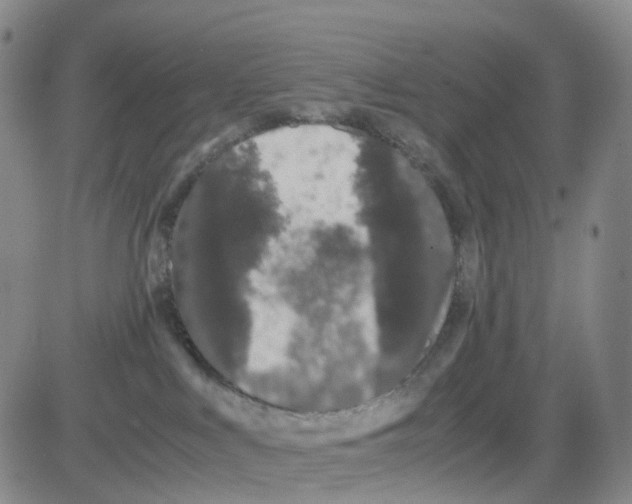 X0000082740043200702240024