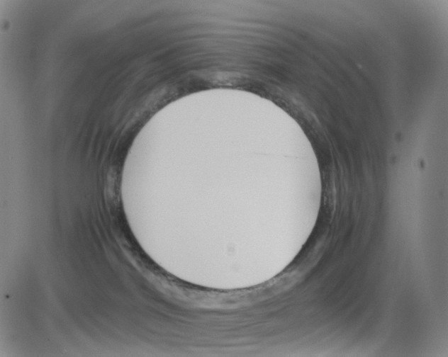 X0000082740044200702240024