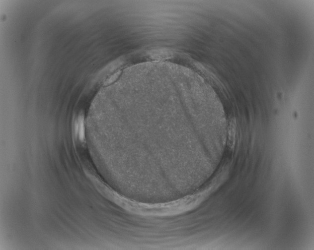 X0000082740046200702240024