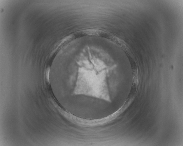 X0000082740047200702240024