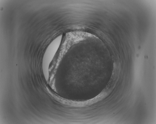 X0000082740048200702240024