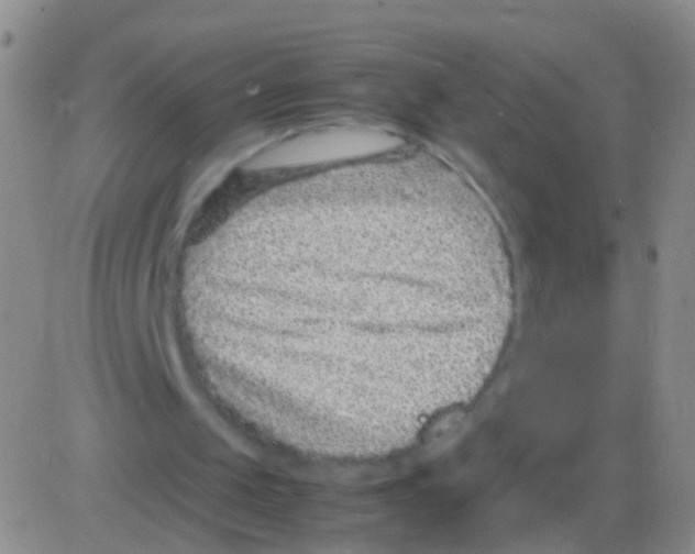 X0000082740049200702240023