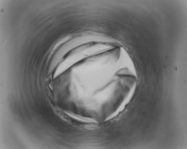 X0000082740050200702240023