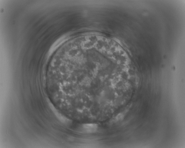 X0000082740053200702240023