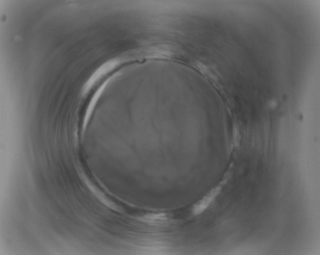 X0000082740054200702240023