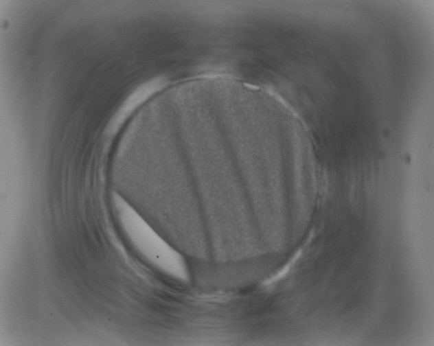 X0000082740055200702240023