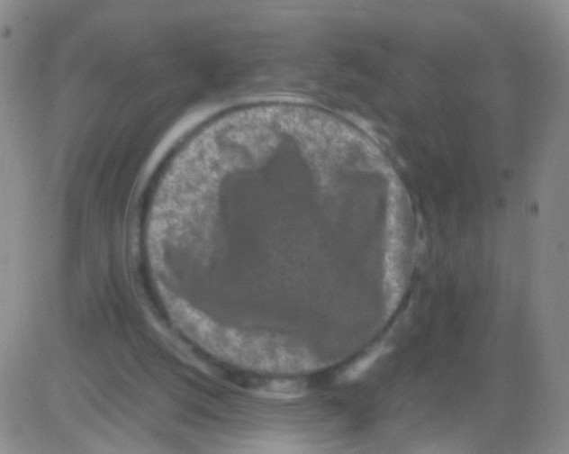 X0000082740056200702240023