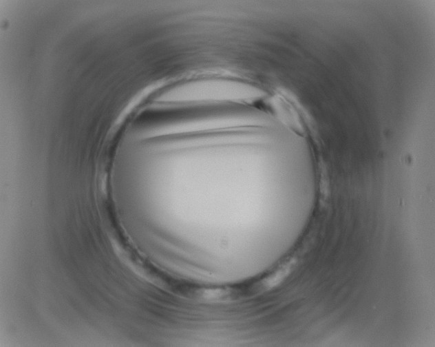 X0000082740060200702240023