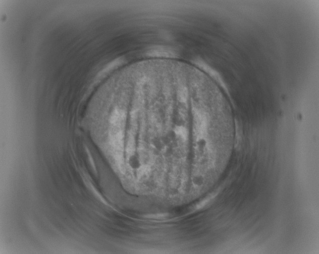 X0000082740061200702240023