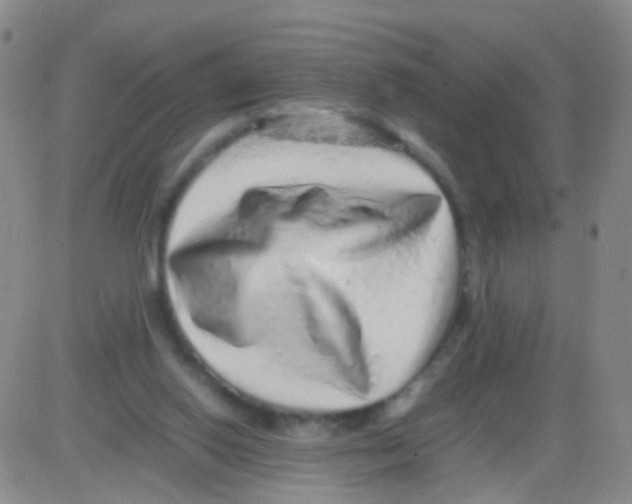 X0000082740062200702240023