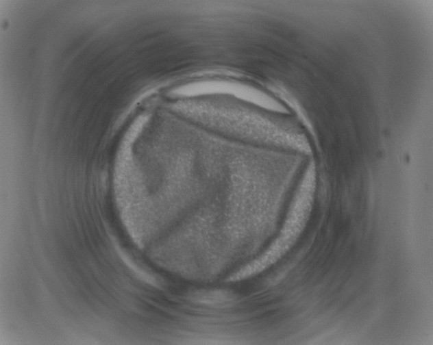 X0000082740063200702240023