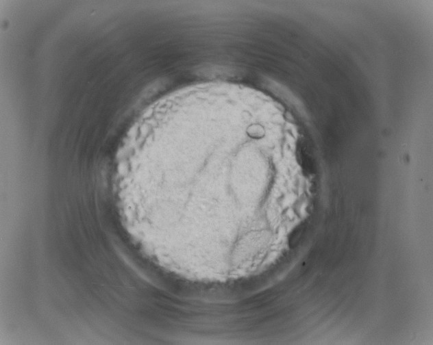 X0000082740065200702240023