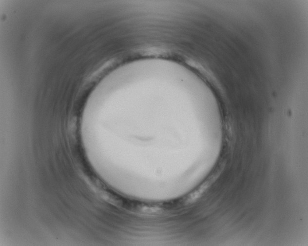 X0000082740066200702240023