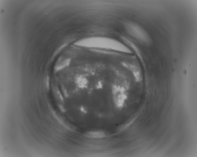 X0000082740067200702240023