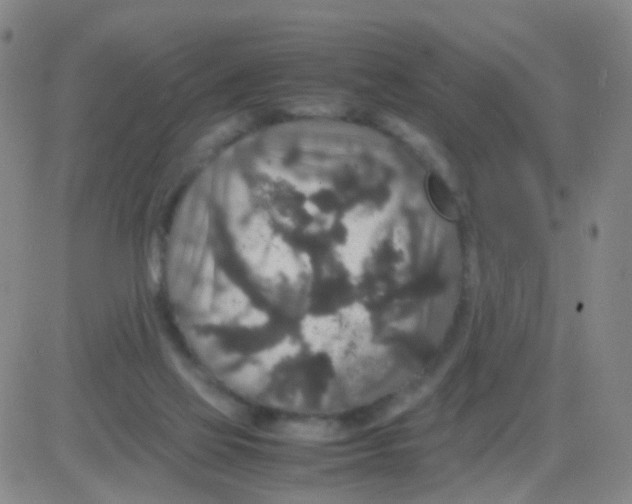 X0000082740069200702240023