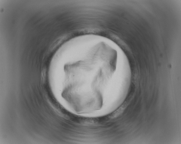 X0000082740070200702240024