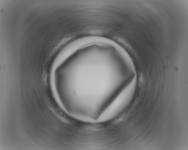 X0000082740072200702240024