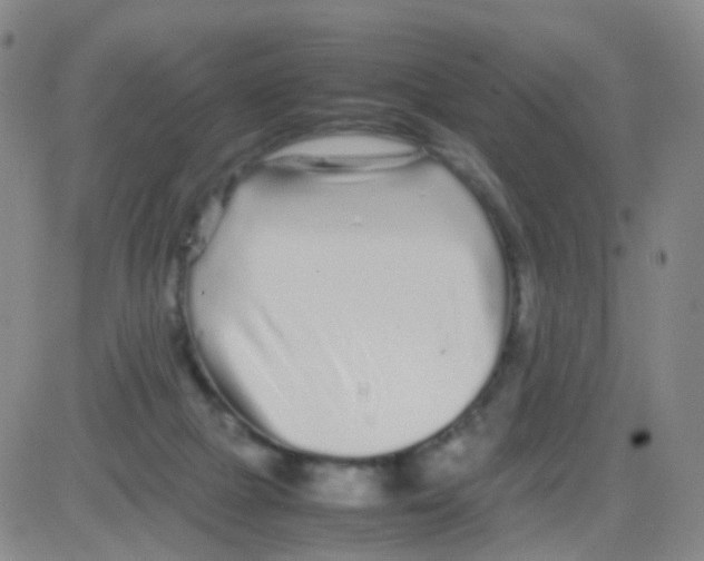 X0000082740073200702240024