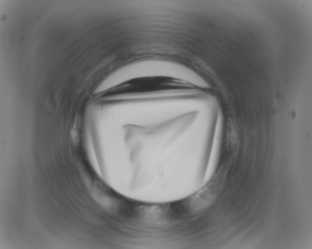 X0000082740074200702240024