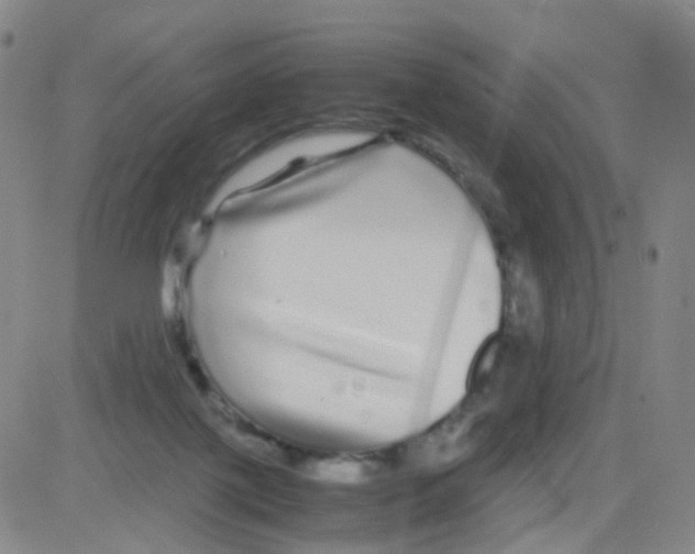 X0000082740075200702240024