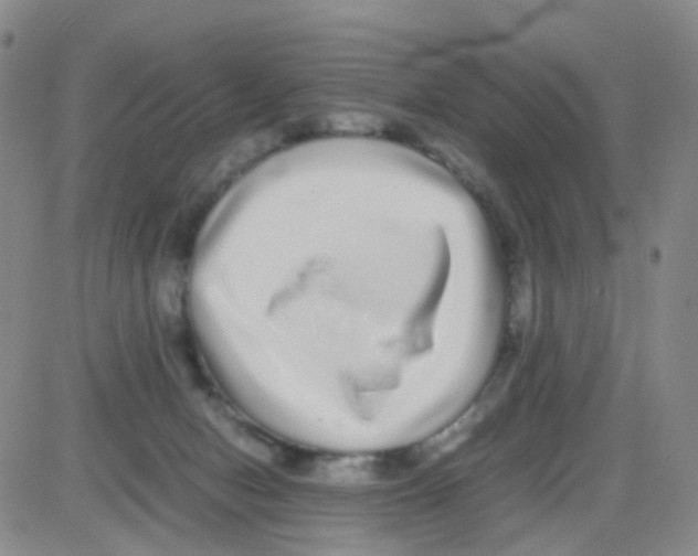 X0000082740078200702240024