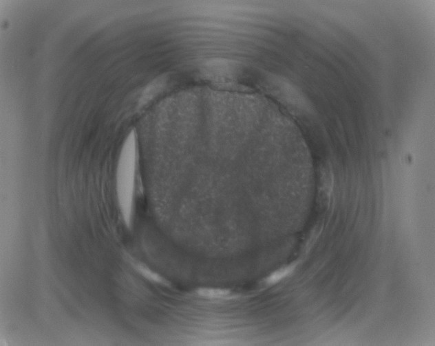 X0000082740080200702240024