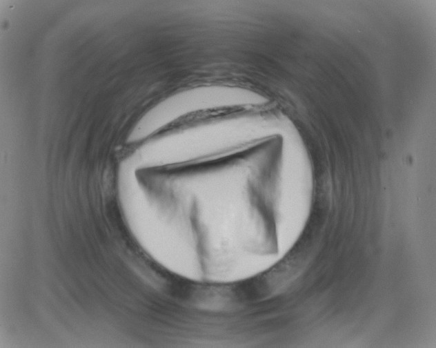 X0000082740081200702240024