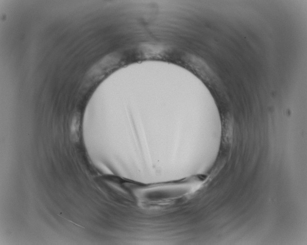 X0000082740082200702240024