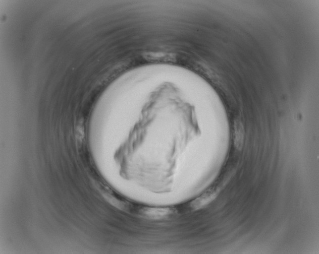 X0000082740085200702240024