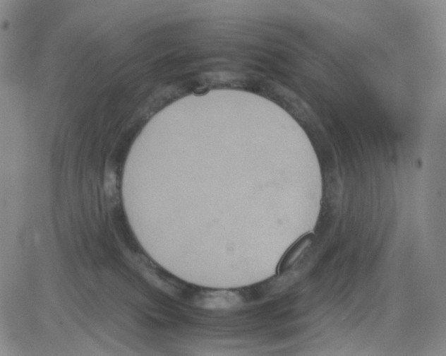 X0000082740087200702240024