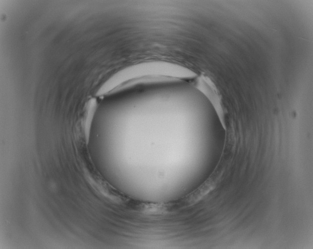 X0000082740088200702240024