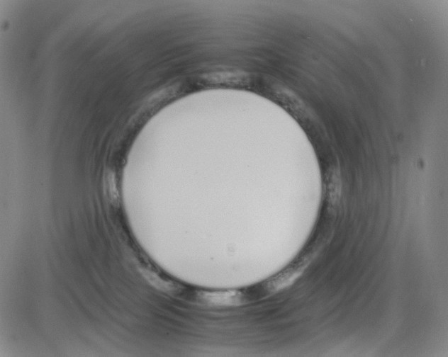 X0000082740089200702240024