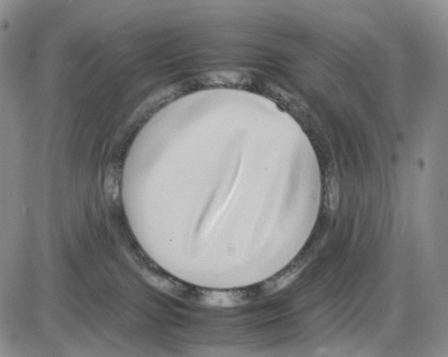 X0000082740091200702240024