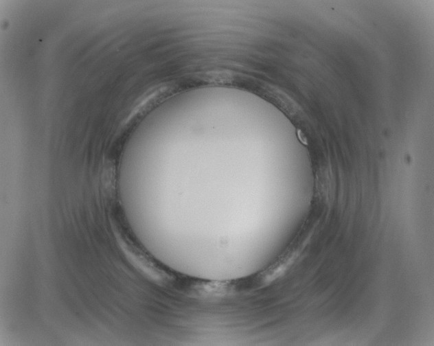 X0000082740092200702240024