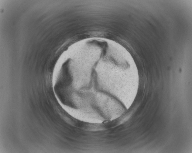 X0000082740093200702240024