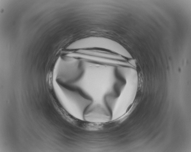 X0000082740094200702240024