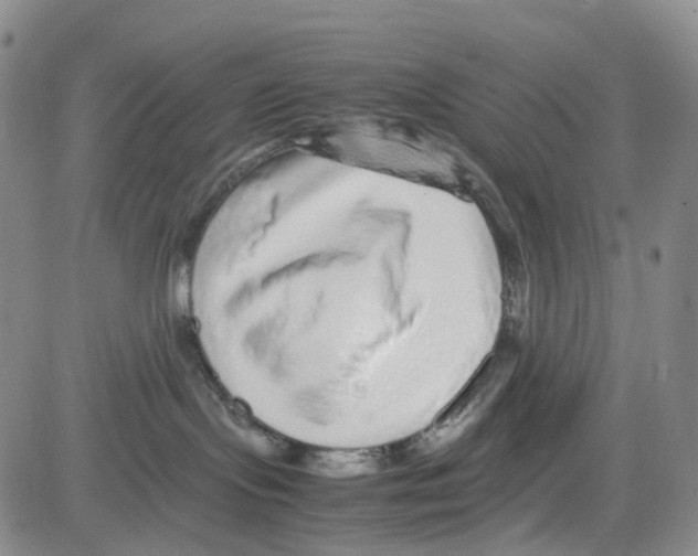 X0000082740095200702240024