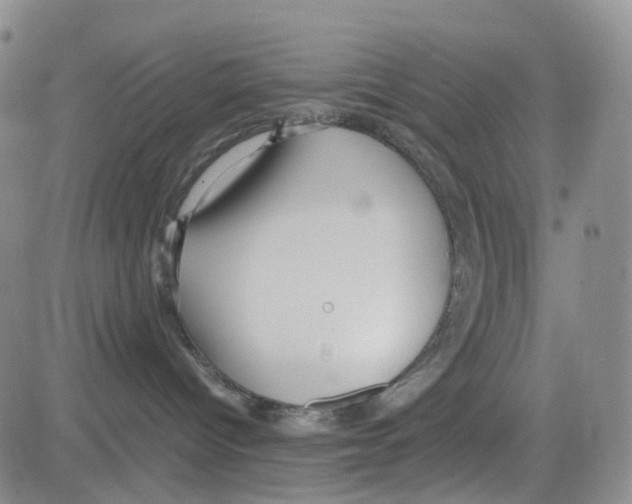 X0000082740096200702240024