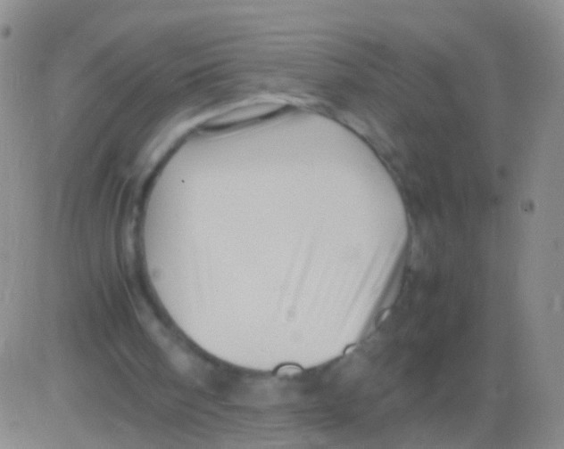 X0000082740098200702240023