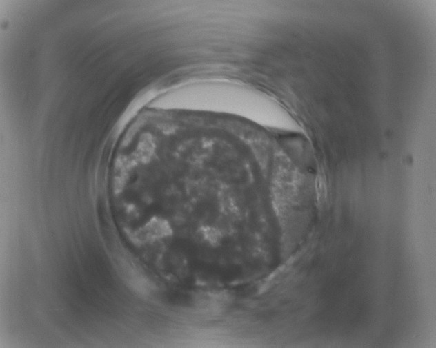 X0000082740099200702240023