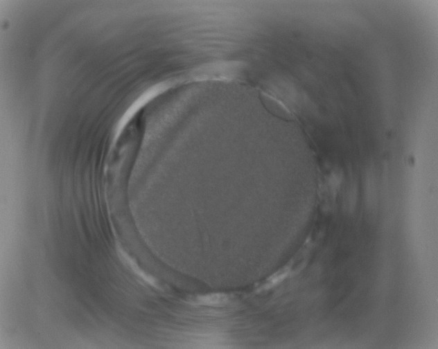 X0000082740100200702240023