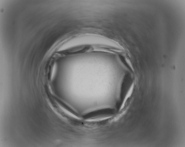 X0000082740101200702240023