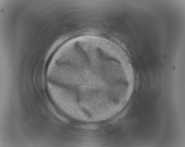 X0000082740102200702240023