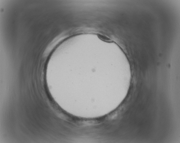 X0000082740103200702240023