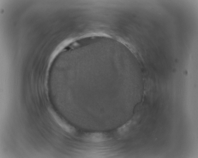 X0000082740104200702240023