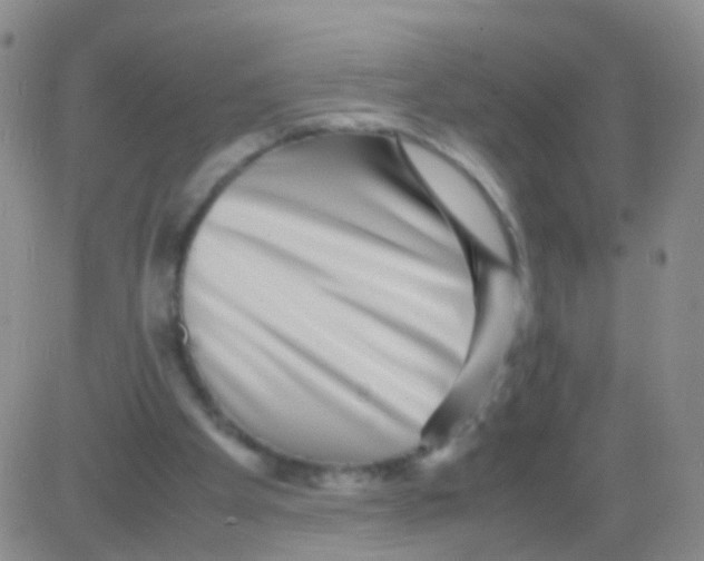 X0000082740105200702240023